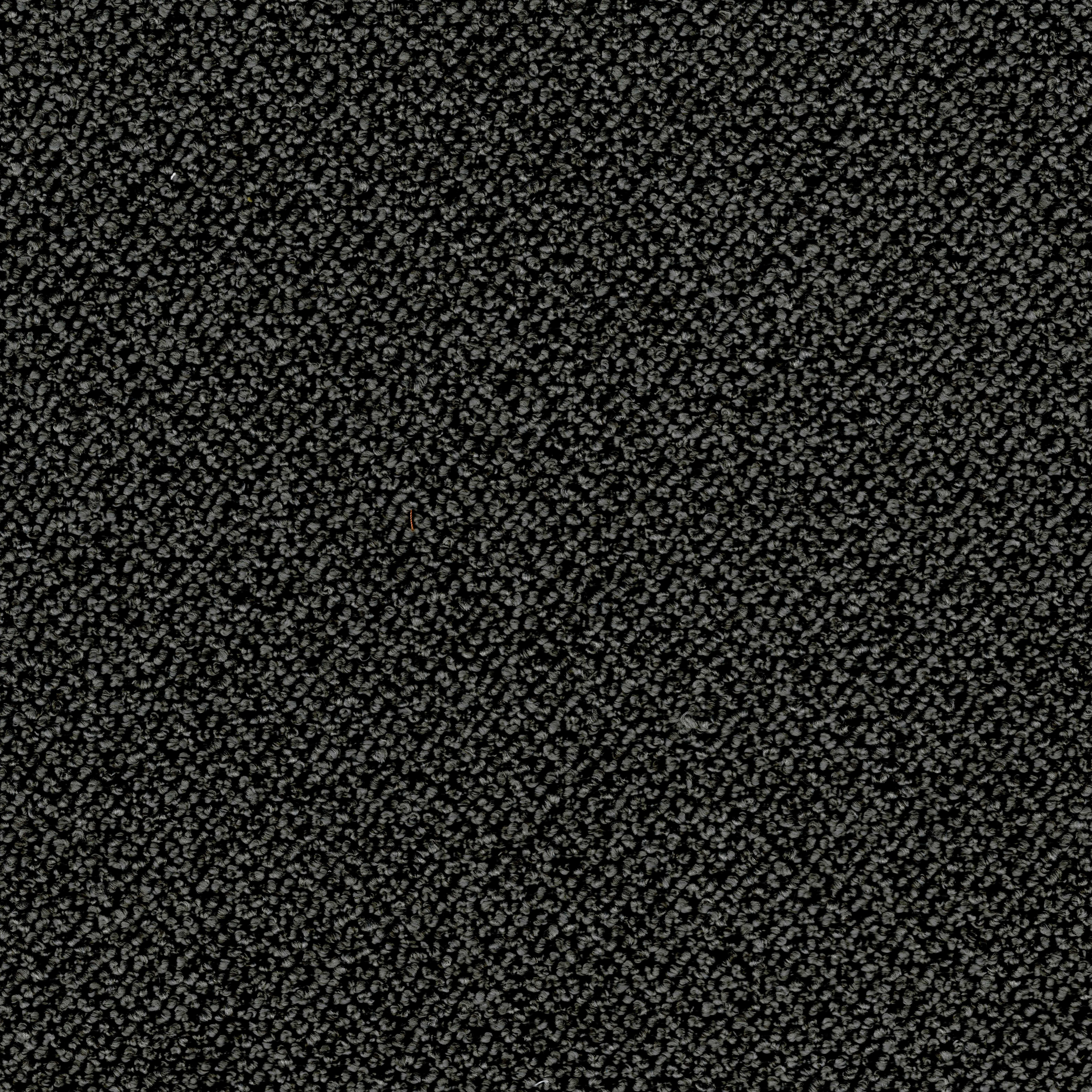 Curly Anthracite